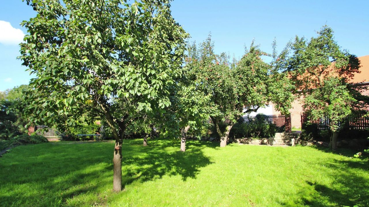 GardenSummer GardenSummer